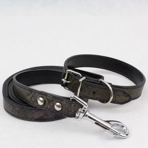 Black Metallic Paisley Dog Collar and Leash Set